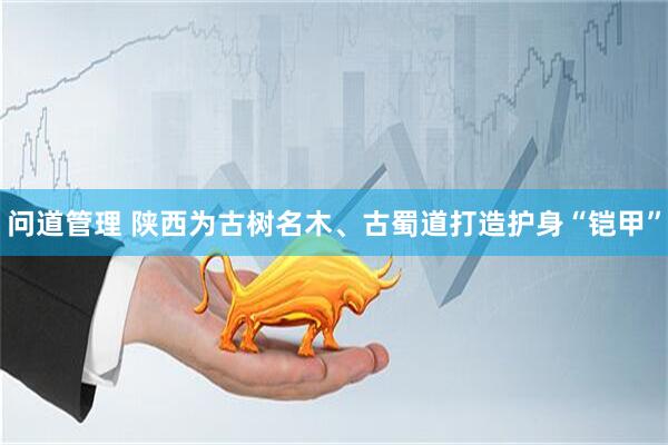 问道管理 陕西为古树名木、古蜀道打造护身“铠甲”